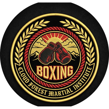 9th Round Boxing logo